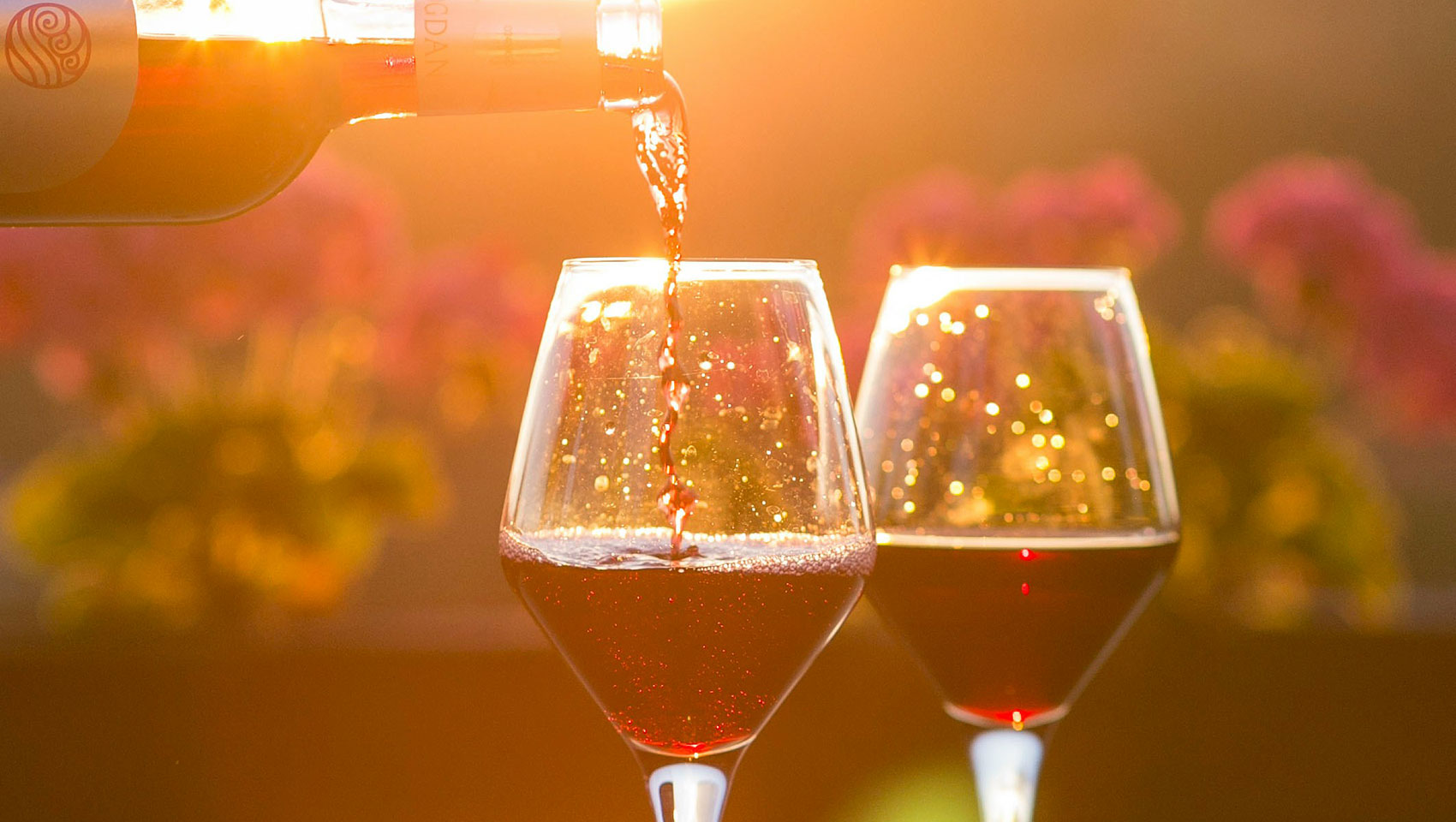 wine poured into wine glasses